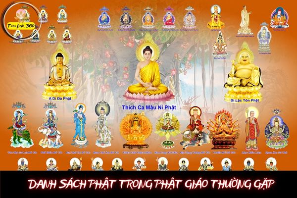 Danh Sách Phật Trong Phật Giáo Việt Nam Thường Gặp Nhất 2023