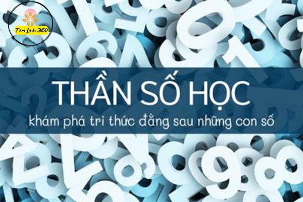 cong viec theo than so hoc nghe nghiep