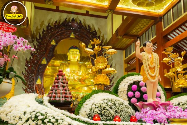 Lễ Phật Đản 2023 là gì? Điều tạo sức hút cho đại lễ Vesak?