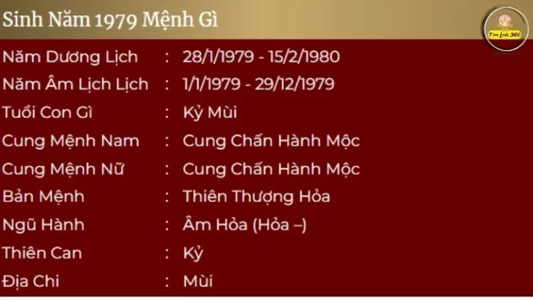 sinh nam 1979 menh gi