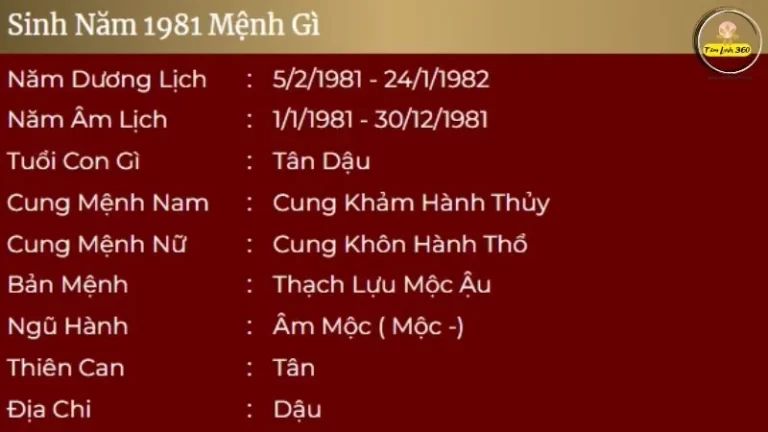 sinh nam 1981 menh gi