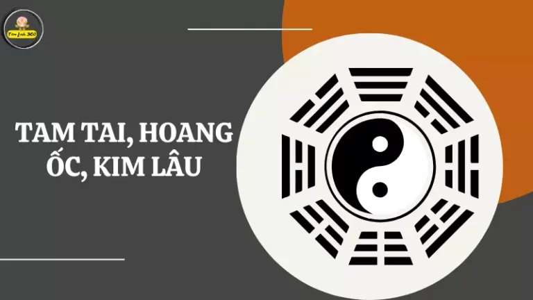 tam tai hoang oc kim lau