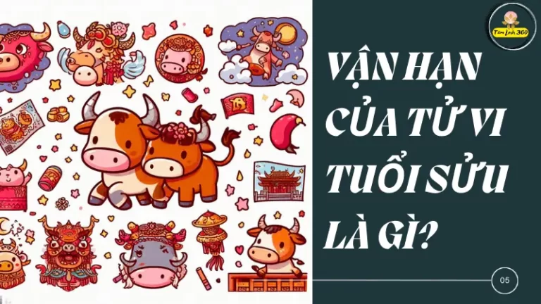 kham pha tu vi tuoi suu