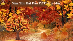 Mua Thu Bat Dau Tu Thang May