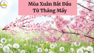 Mua Xuan Bat Dau Tu Thang May