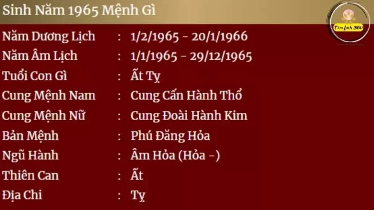 sinh năm 1965 mệnh gì