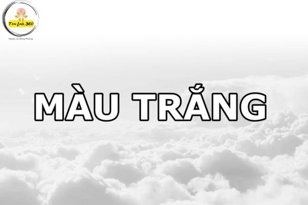 mau trang trong cuoc song Màu trắng trong cuộc sống