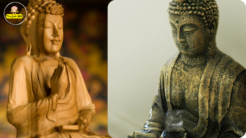 Vô Tri Là Gì? Bản Chất Và Ý Nghĩa Trong Phật Giáo