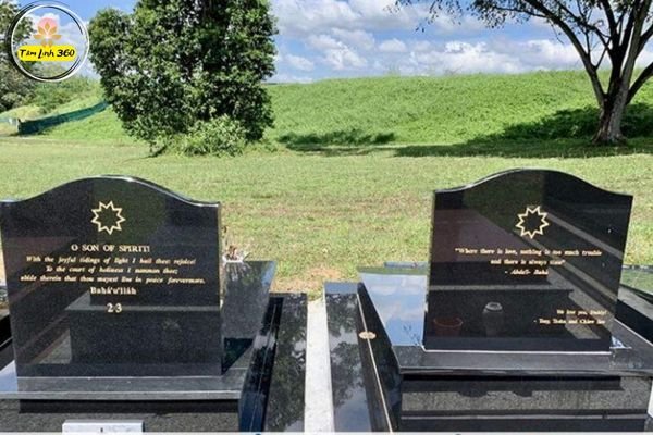 svg%3E mau mo cong giao khong mai dep