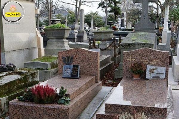 svg%3E mo da cua nguoi cong giao