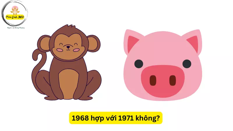 1968 hop voi 1971 khong