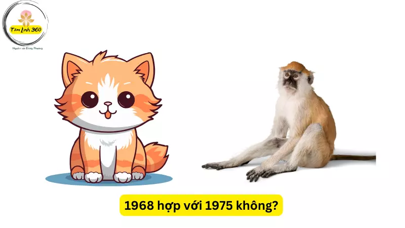 1968 hop voi 1975 khong
