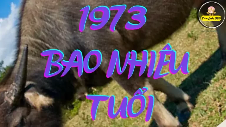 1973 bao nhiêu tuổi