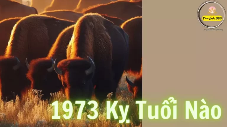 1973 kỵ tuổi nào