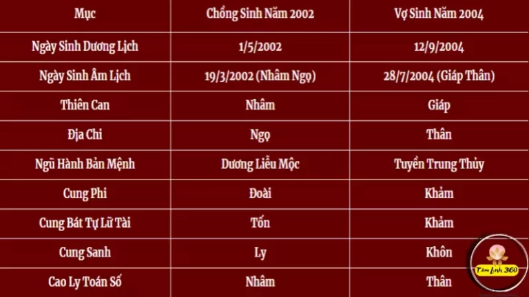 2002 hợp 2004 không? Nam Nhâm Ngọ có hợp với nữ Giáp Thân?
