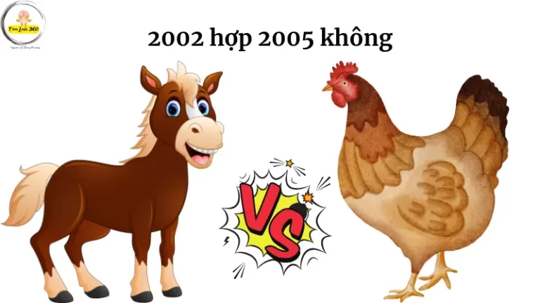 2002 hop 2005 khong