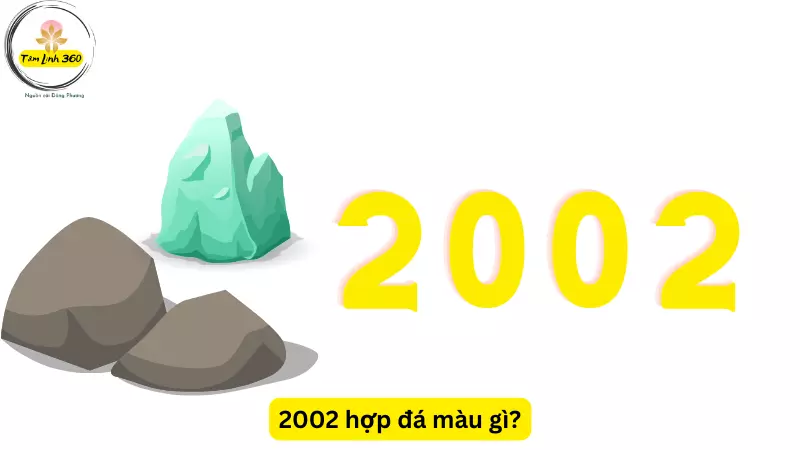 2002 hop da mau gi