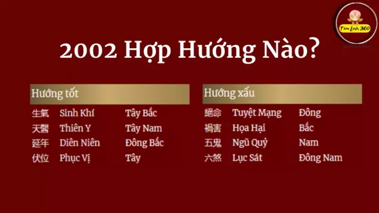 2002 hợp hướng nào