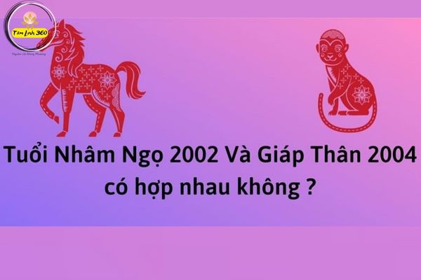 2002 hop voi 2004 khong