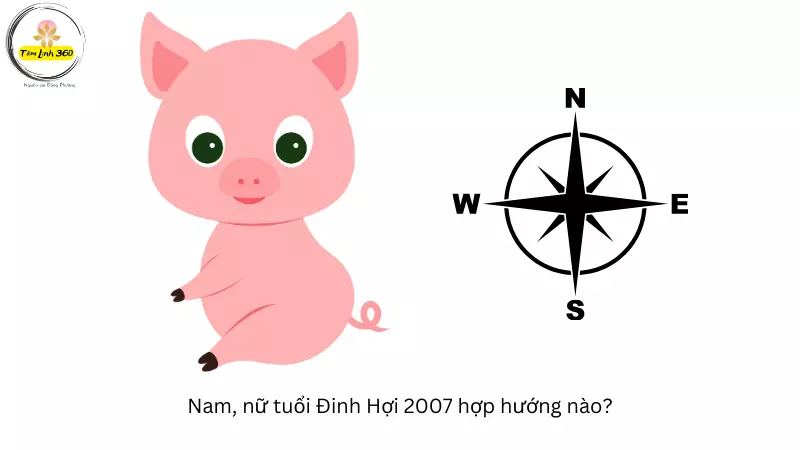 2007 hop huong nao