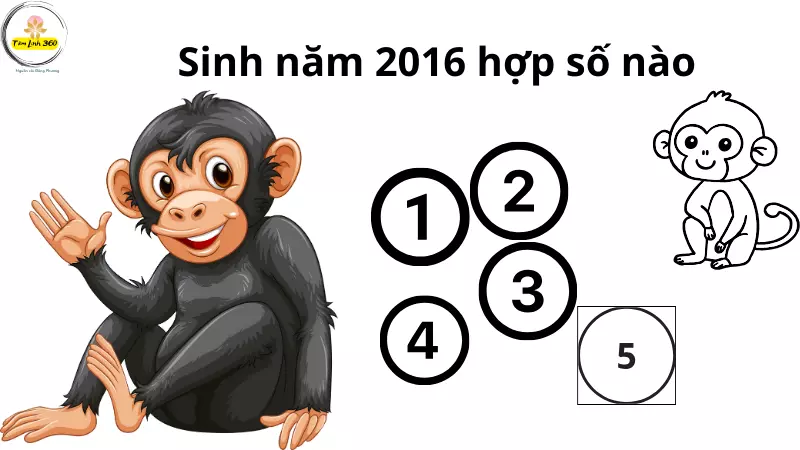 Sinh 2016 hop so nao