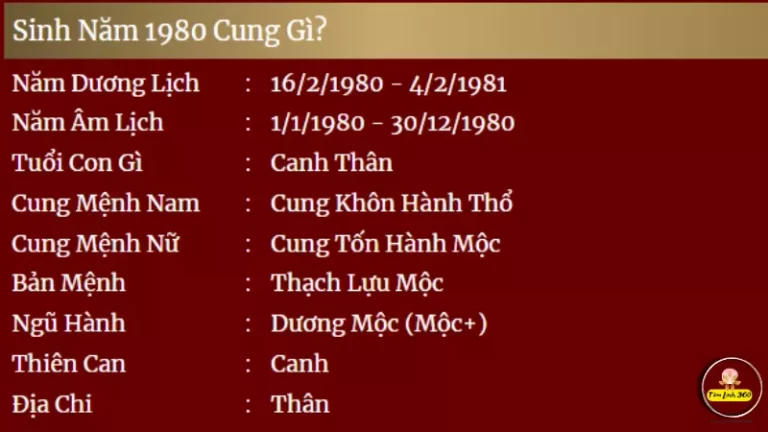1980 cung gì