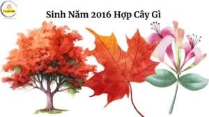 Sinh Nam 2016 Hop Cay Gi