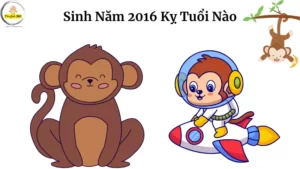 Sinh Nam 2016 Ky Tuoi Nao