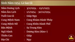 Sinh Nam1954 la sao gi