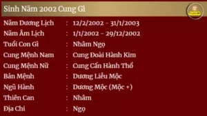 Sinh nam 2002 Cung Gi