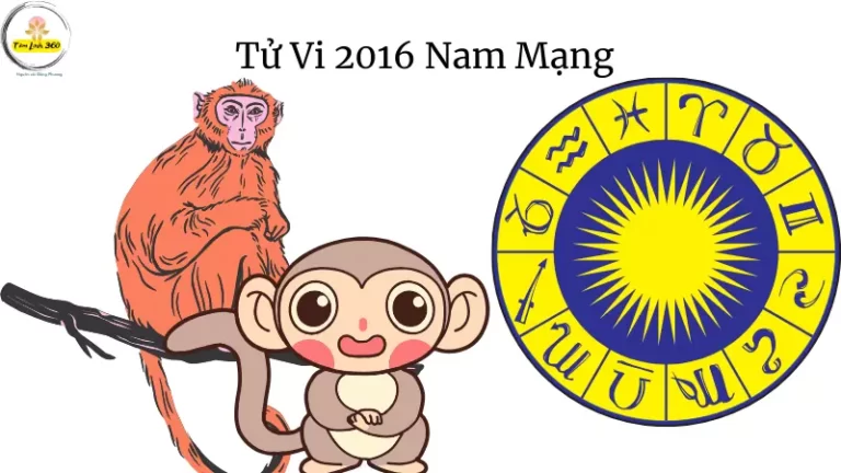 Tu Vi 2016 Nam Mang