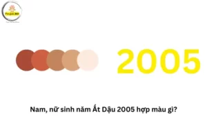 nguoi sinh nam 2005 hop mau gi
