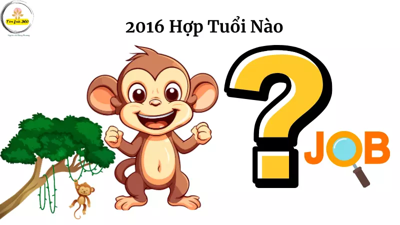 sinh 2016 Hop Tuoi Nao