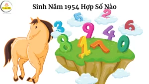 sinh 1954 Hop So Nao