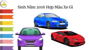 sinh Nam 2016 Hop Mau Xe Gi