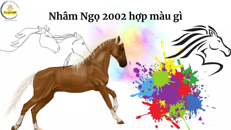 sinh Nham Ngo 2002 hop mau gi