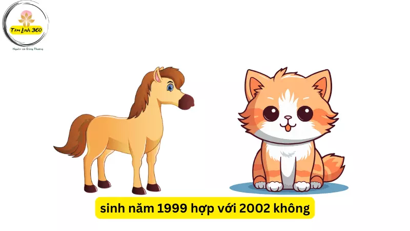 sinh nam 1999 hop voi 2002 khong
