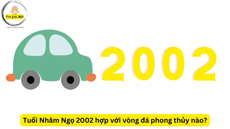 2002 hợp màu xe gì? 5+ màu xe hợp phong thủy tuổi Nhâm Ngọ
