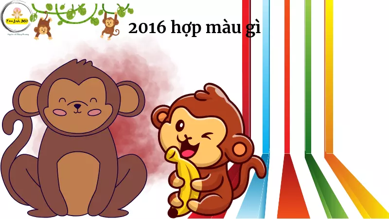 sinh nam 2016 hop mau gi