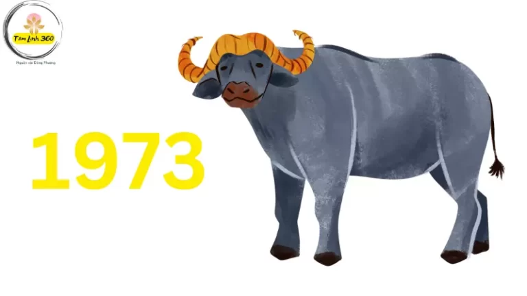 tuoi 1973 hop voi so dien thoai nao