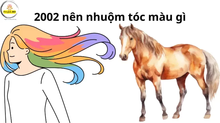 tuoi 2002 nen nhuom toc mau gi