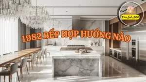 1982 bep hop huong nao