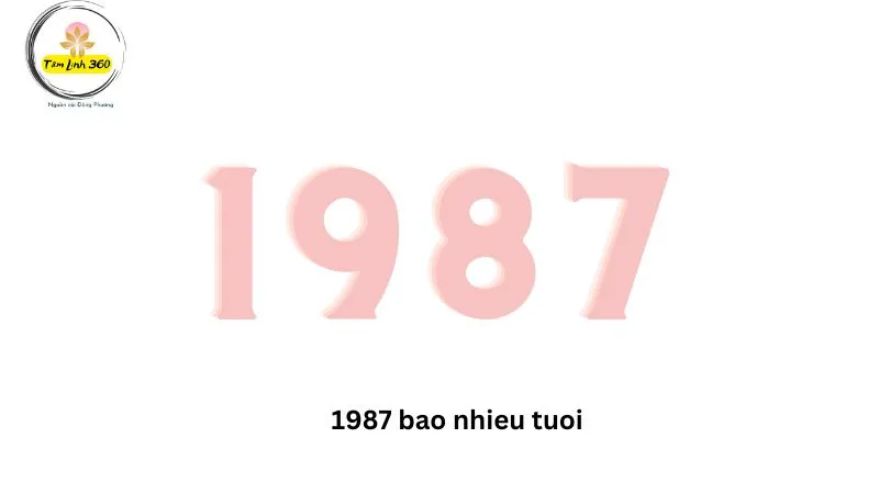 Đinh Mão sinh năm 1987 bao nhiêu tuổi 2023?