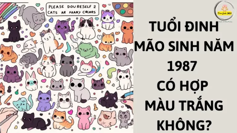 xem 1987 co hop mau trang khong