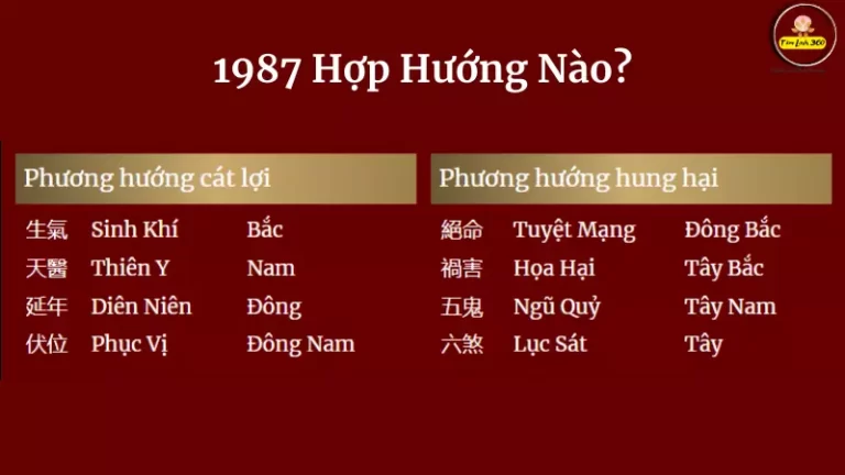 1987 hợp hướng nào