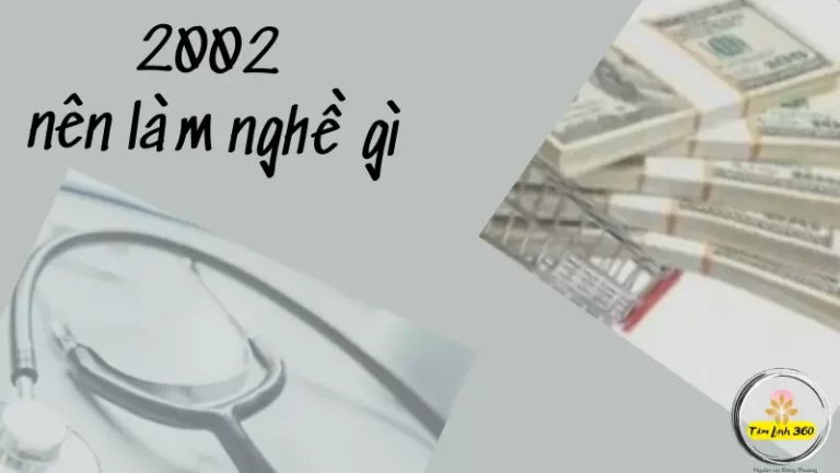 2002 nên làm nghề gì