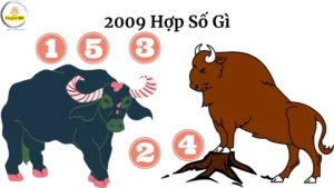2009 Hop So Gi