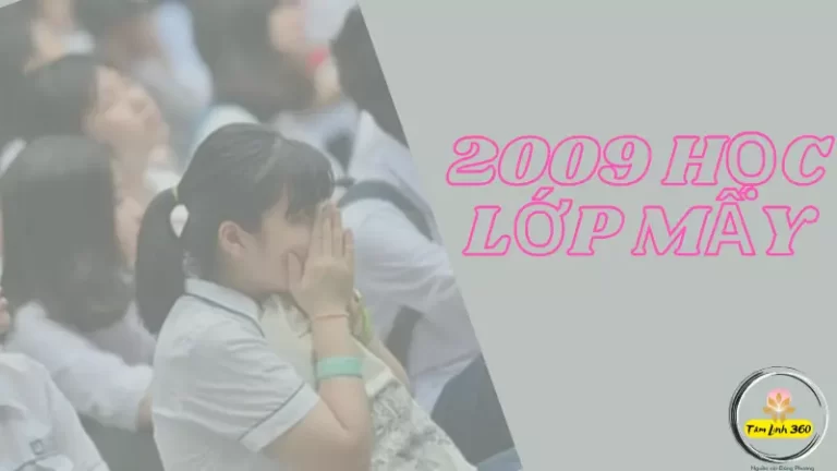 2009 học lớp mấy