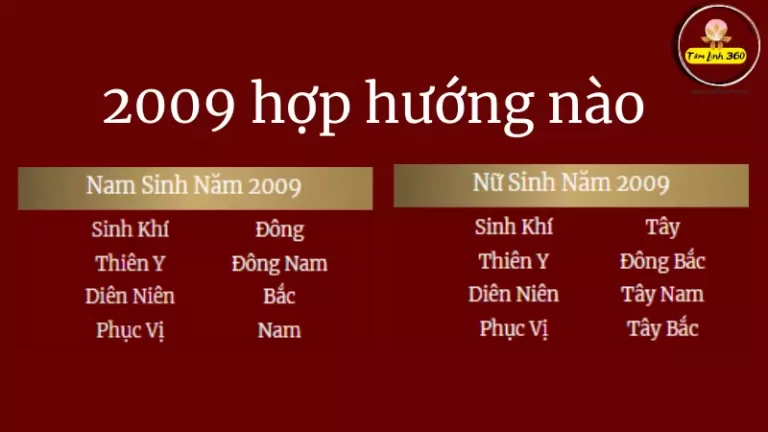 2009 hợp hướng nào
