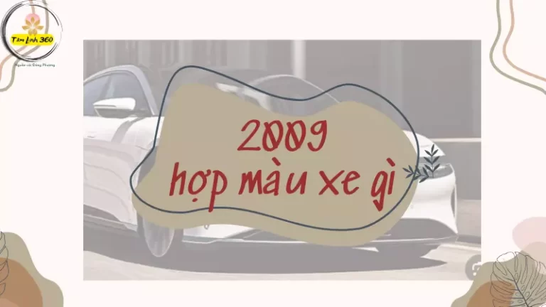 2009 hợp màu xe gì